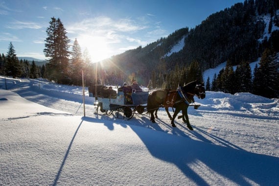 Pferdeschlittenfahrten, Winterurlaub in Filzmoos