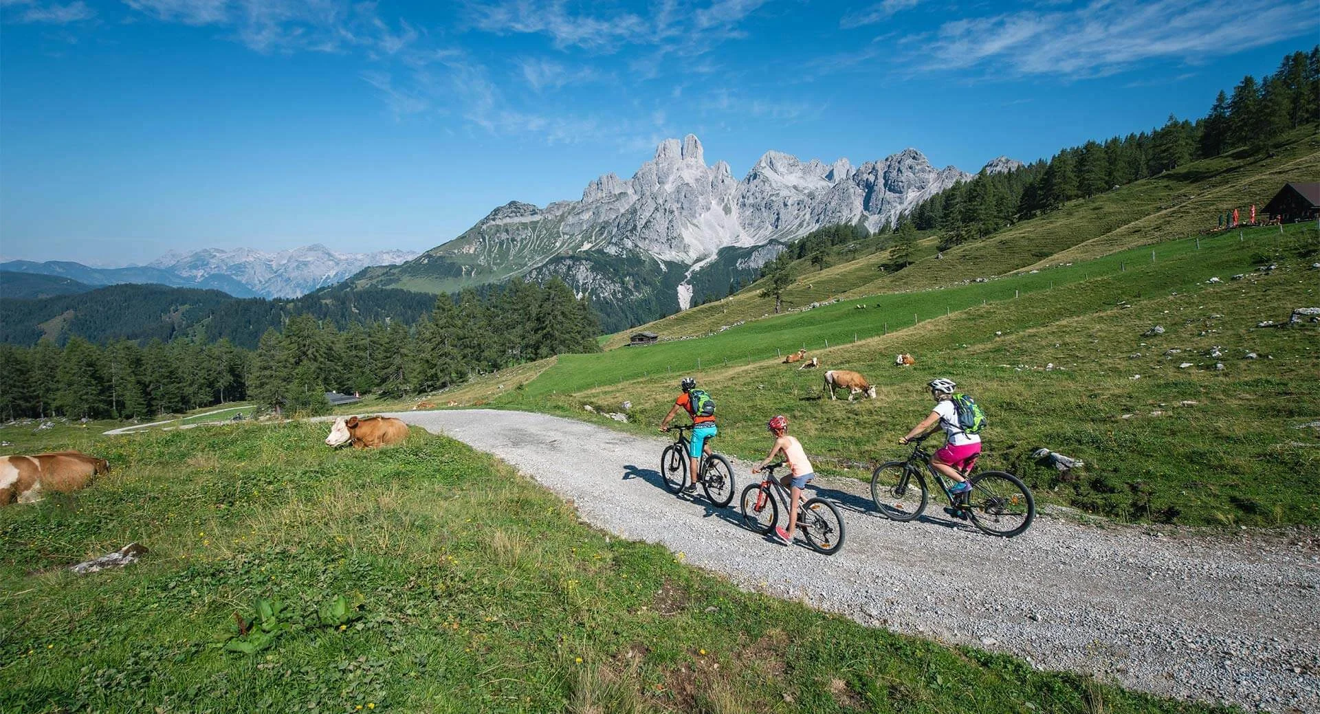 Sommerurlaub in Filzmoos, Sportshop